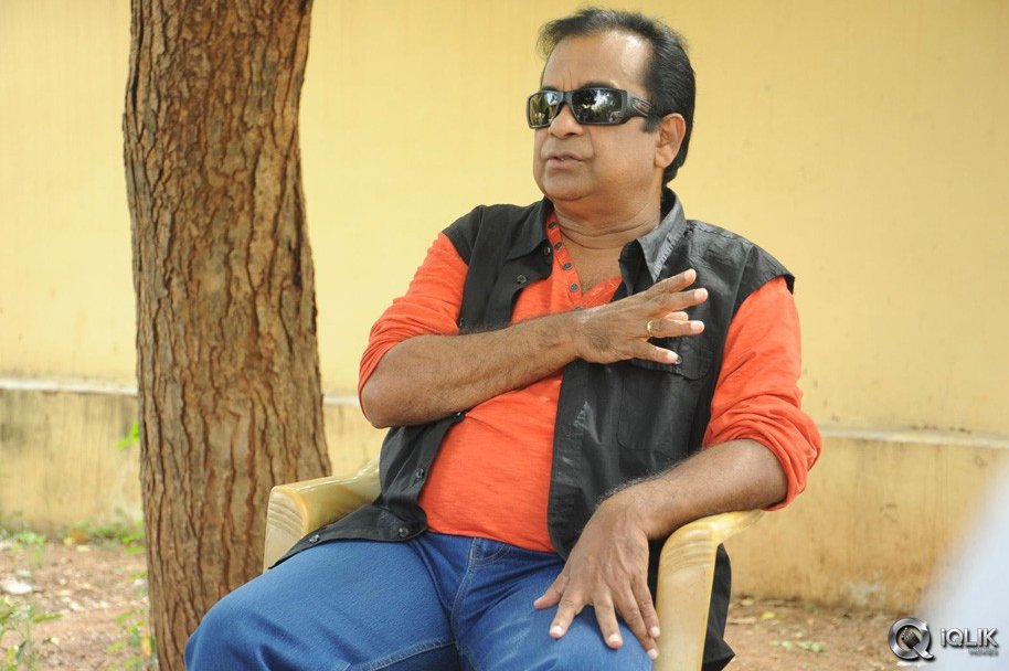 Brahmanandam-About-Alludu-Seenu-Movie